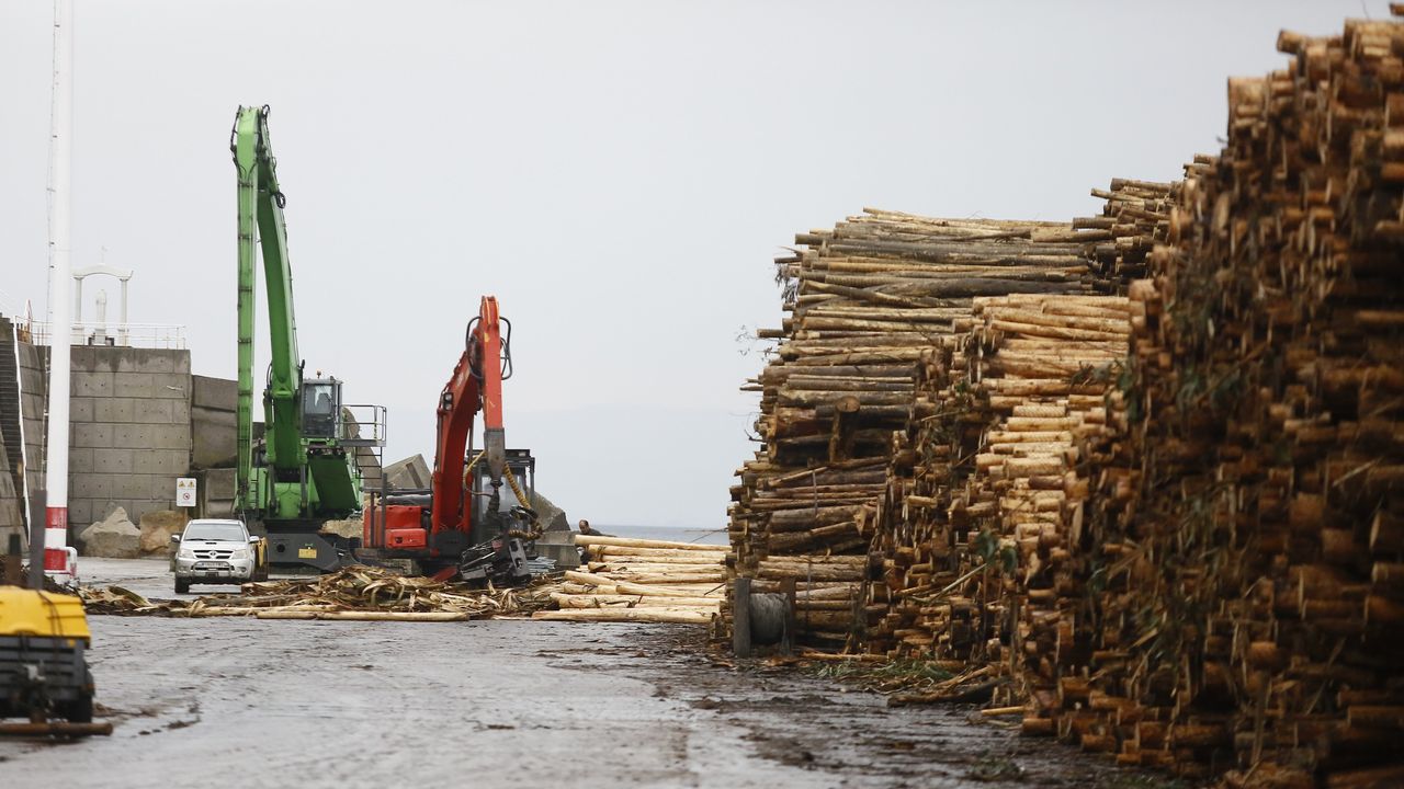 (Español) El sector de la madera valora recurrir de nuevo a mano de obra extranjera